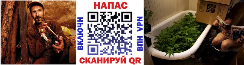 Канабис VHQ  кракен ТОР  Лысково 